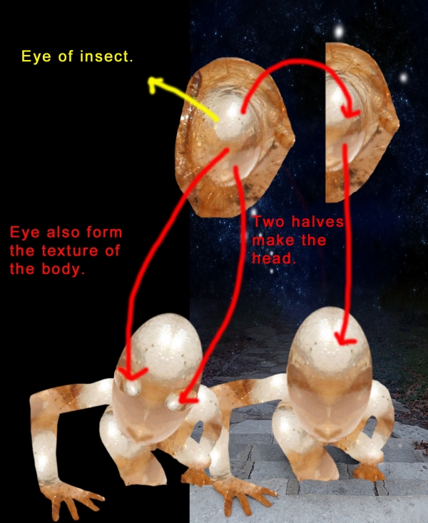 Creation of Fugitive: Step 1